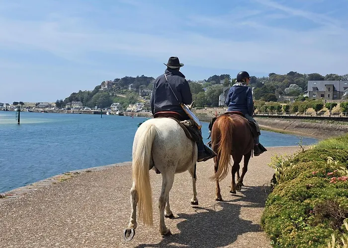 Amazing In With Wifi Créances